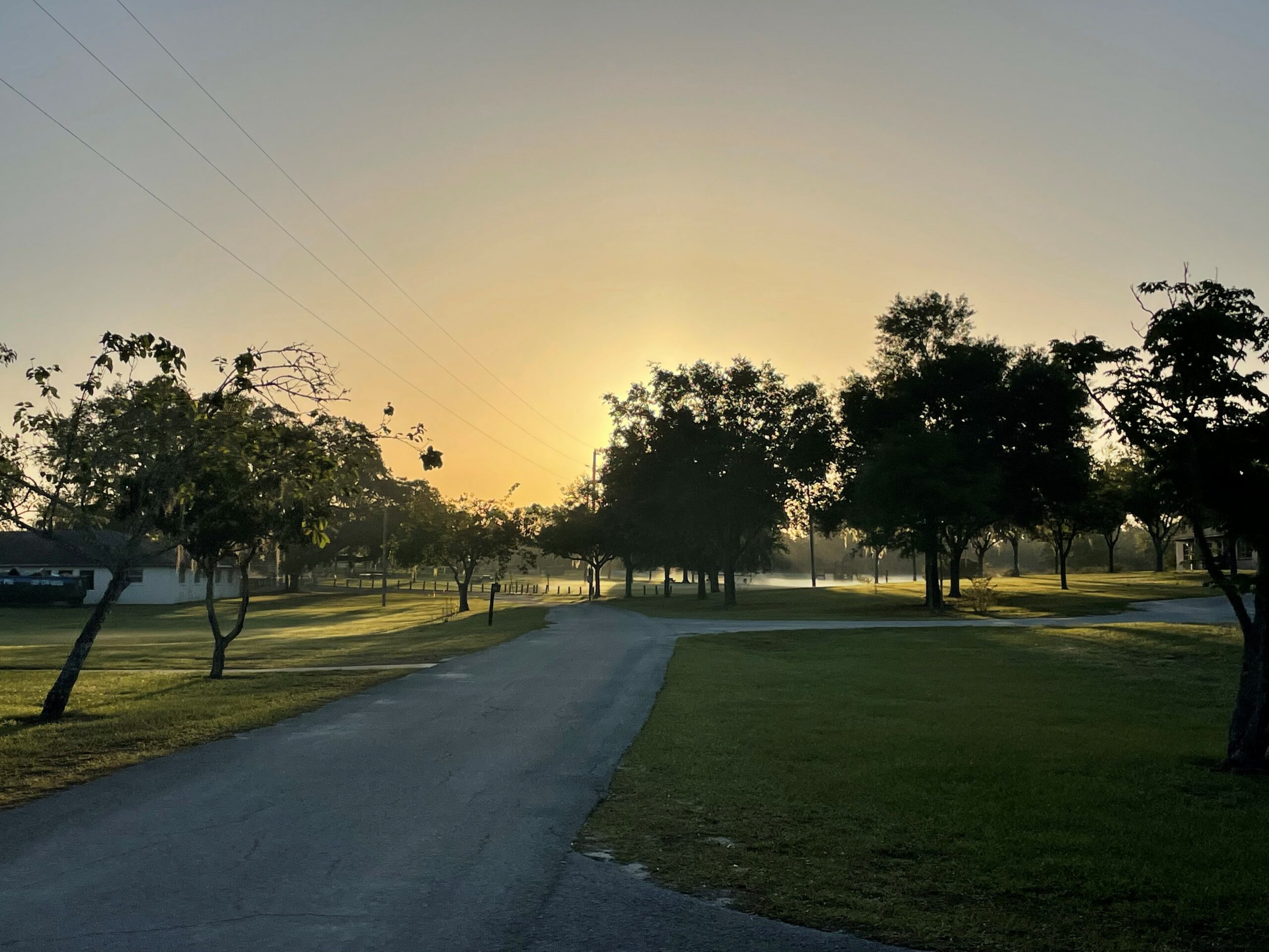 trails surrounded by trees at sunset at Pine Lake Retreat